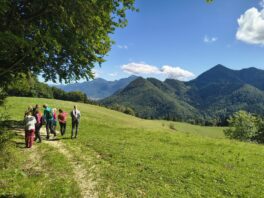 IMG-20250907-WA0016_klein