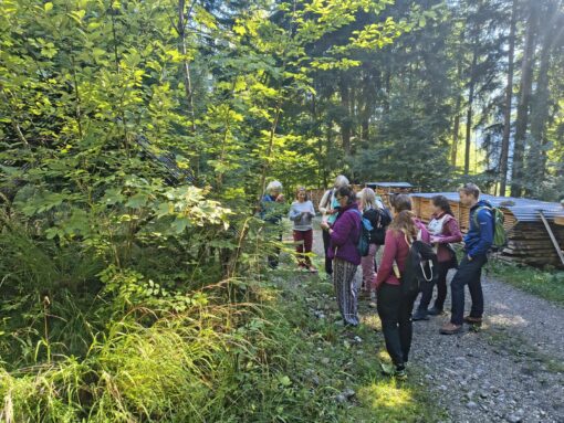 IMG-20250907-WA0018_klein