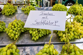 Marktsonntag-AschauerMarkt-12