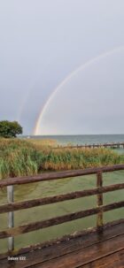 cf3c0fb3-accc-4686-b8fd-95e1a9b13910