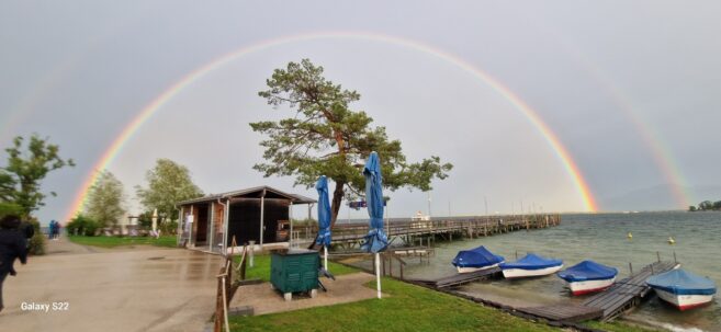 d2e577ea-1abc-4715-bee6-943a5fb6ae1c