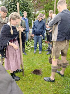 12e1ff63-b37b-465b-b1a6-017ded718ee5