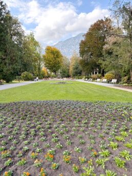 19119cb3-b1aa-44cb-9237-d2001e9094eb