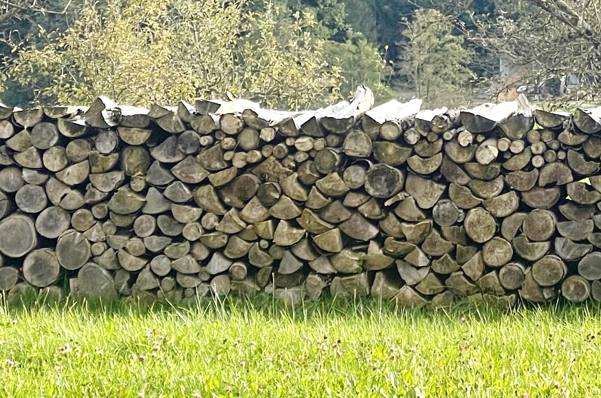 Angebot-25-Ster-getrocknetes-Brennholz