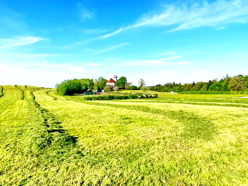 1Wiese gemäht Wildenwart