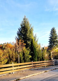 2025-10-29 08.02.40_2