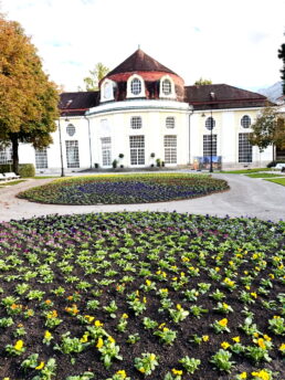 20b16c09-3cbb-4f2f-ad5e-7f420616c437