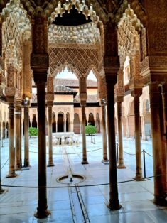 27d1ea24-dbdb-4d40-a3a0-eba2b1e8218f