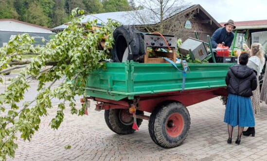 28f173a6-f24b-4cda-8220-a044582437ac