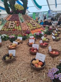 52fbbc85-ab15-4736-93a2-6b88cefc22c0