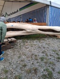 604c78c2-1de6-4d24-b2f4-7d6d44045d03