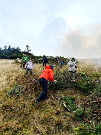 Auch die Kinder helfen fleißig mit_Foto_Veronika
