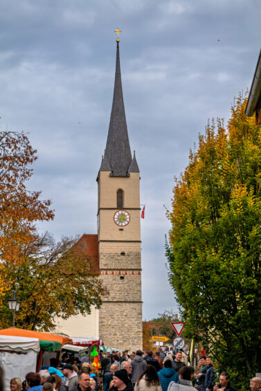 Kirchweihmarkt-Halfing-12