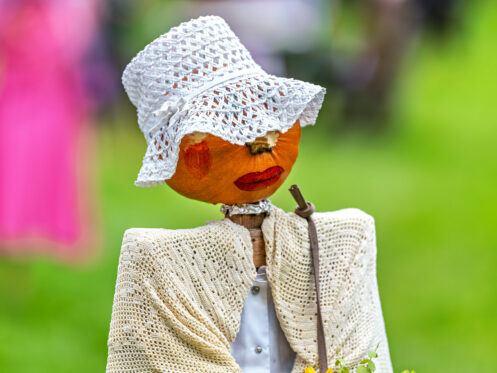 Kuerbismandl-Dorfanger-24