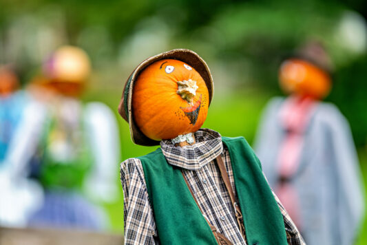 Kuerbismandl-Dorfanger-27