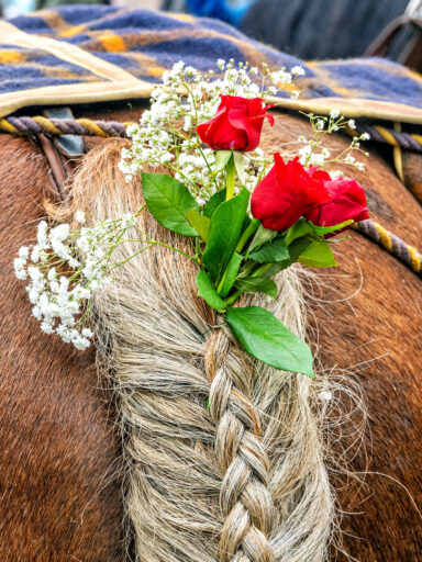 Leonhardiritt-Rossholzen-12