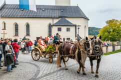 Leonhardiritt-Rossholzen-21