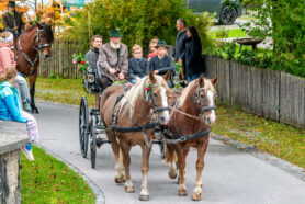 Leonhardiritt-Rossholzen-28