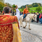 Leonhardiritt-Rossholzen-30