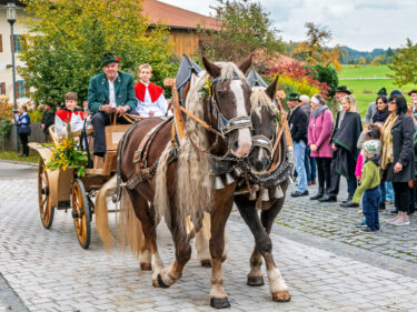 Leonhardiritt-Rossholzen-36