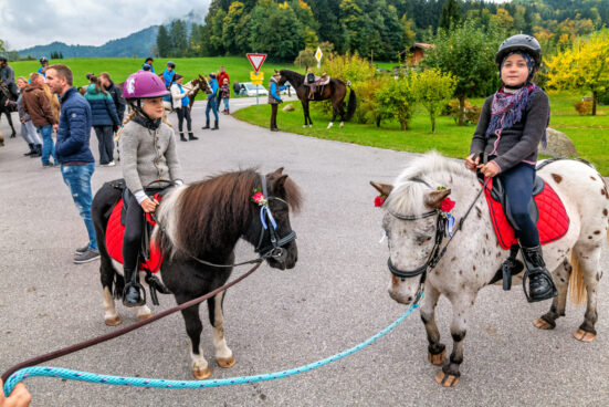 Leonhardiritt-Rossholzen-7