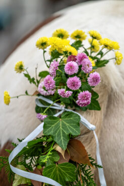 Leonhardiritt-Rossholzen-8