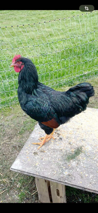 PHOTO-2025-10-14-18-41-23