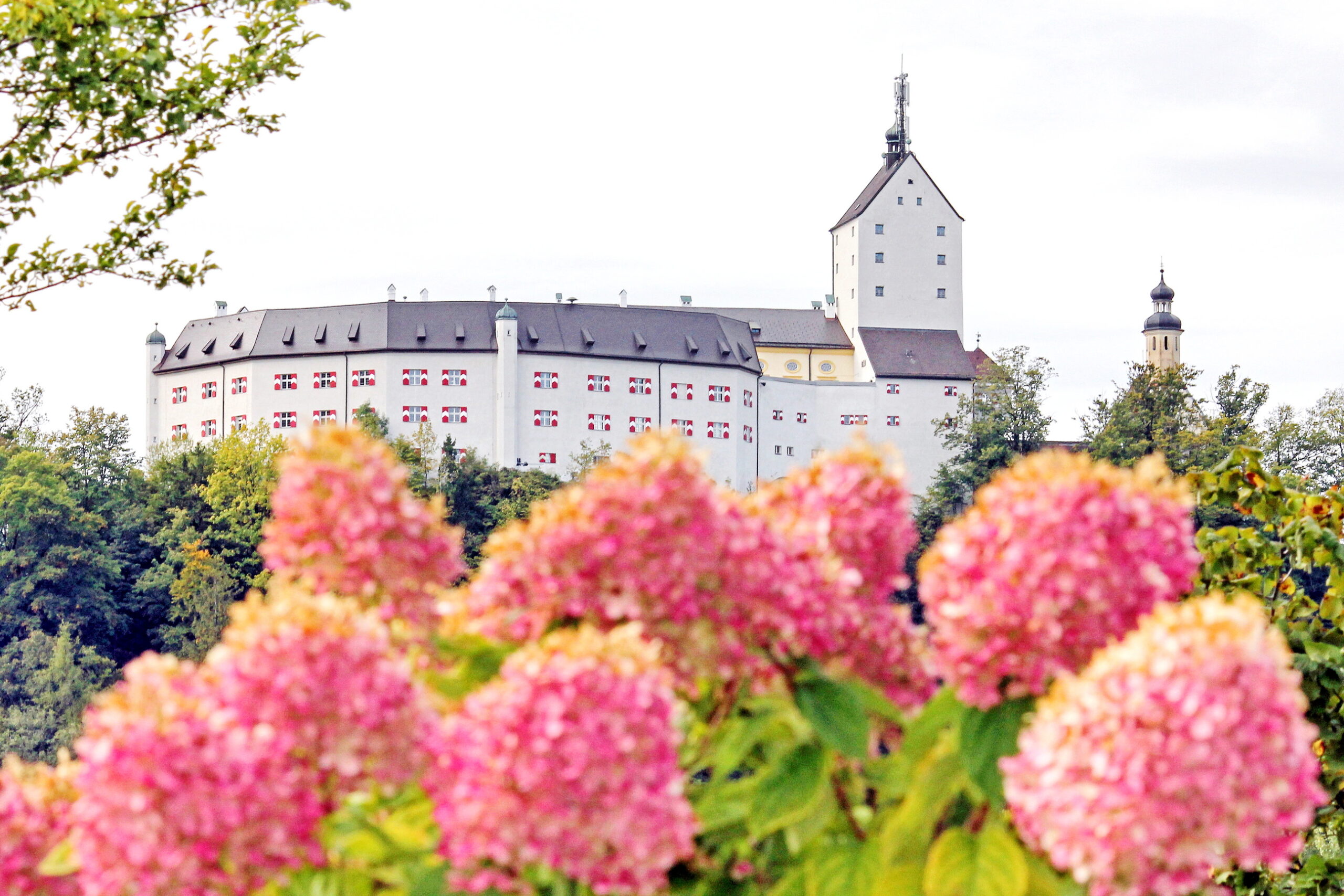 F-hrungs-Einladung-nach-Hohenaschau