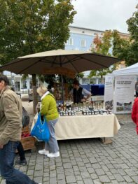 Schmankerlstraße 10