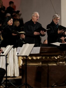 Screenshot_20251027_161736_Samsung Internet_klein