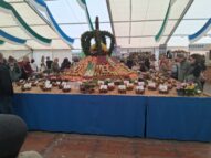 ade86632-868b-4fd2-9fe4-074dcb6cdda4