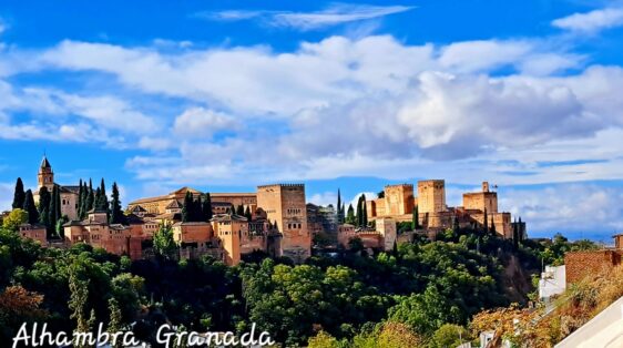 dc5604ec-4b03-4674-bde3-71e68aa28485