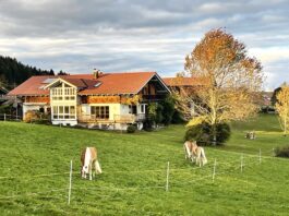 k-1Goldene Pferdewelt