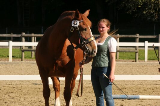 kaltblut-praemierung altenbeuern 2025 (13)