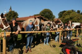 kaltblut-praemierung altenbeuern 2025 (15)