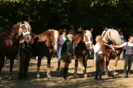 kaltblut-praemierung altenbeuern 2025 (17)