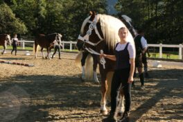 kaltblut-praemierung altenbeuern 2025 (18)