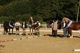 kaltblut-praemierung altenbeuern 2025 (24)