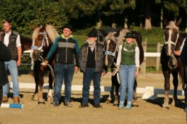 kaltblut-praemierung altenbeuern 2025 (27)