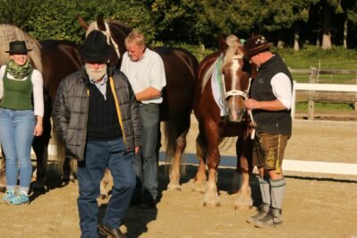 kaltblut-praemierung altenbeuern 2025 (28)