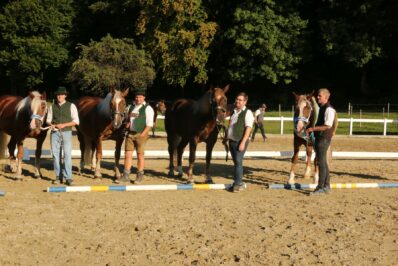 kaltblut-praemierung altenbeuern 2025 (29)