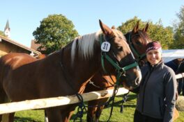 kaltblut-praemierung altenbeuern 2025 (5)