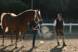 kaltblut-praemierung altenbeuern 2025 (6)