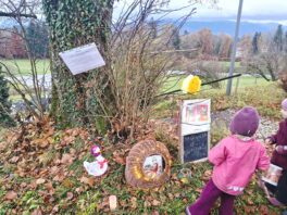 16d36101-c418-4f8b-b0b3-acdff989b760