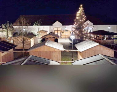 2d7e9e10-7f44-4b0f-961e-5a5ba95e1ea9