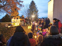 397086a0-d279-4df8-b158-d89efe3e04ff