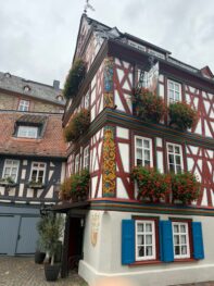 4CAB42A8-6C30-4044-BB7D-8295D4CDC482