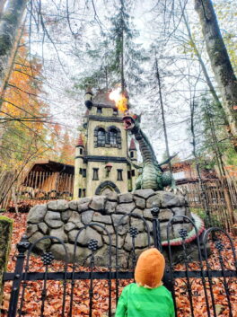 87ff98b3-eb10-4edf-9e33-26508fa05d47