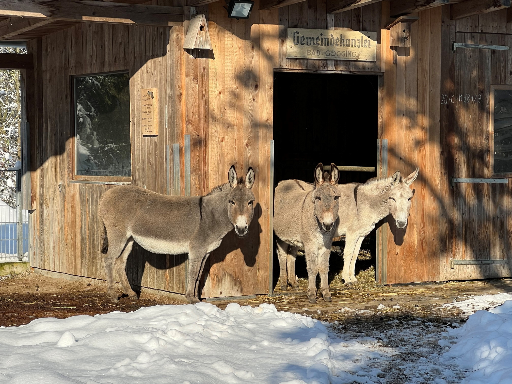 Winterzauber-in-Bad-G-gging