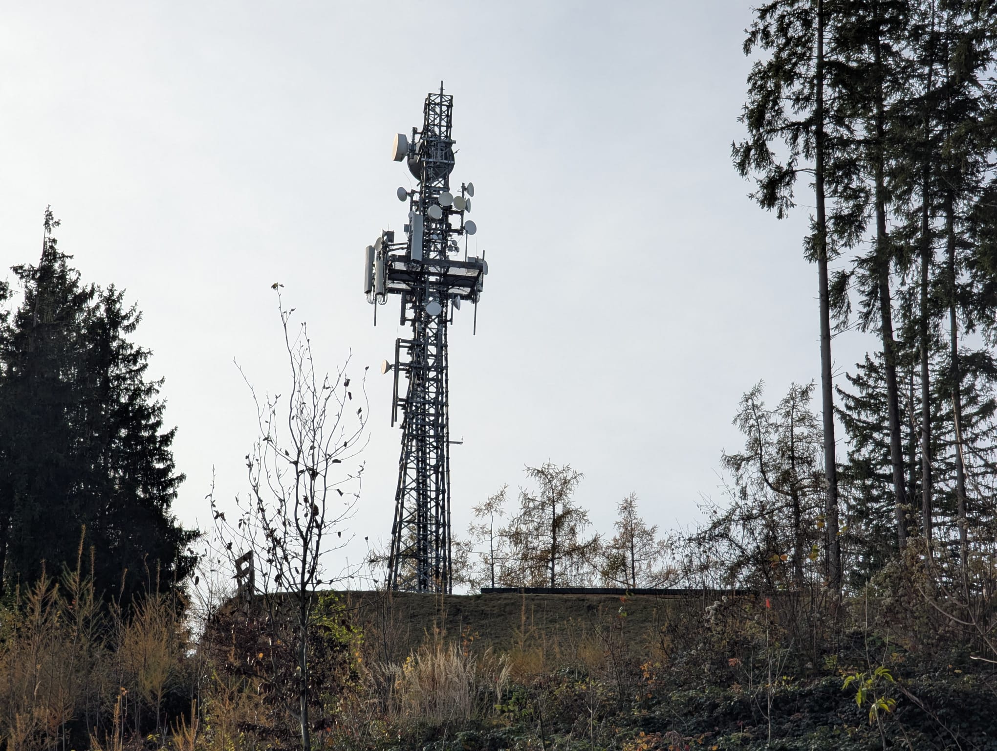 Priener-Sp-therbstwanderung-auf-die-Ludwigsh-he-und-den-H-henberg